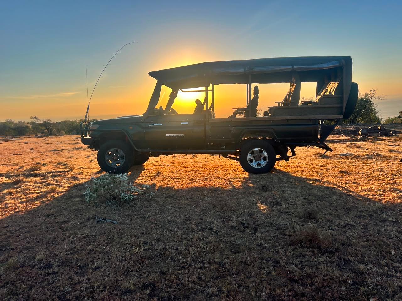Safari Transfer
