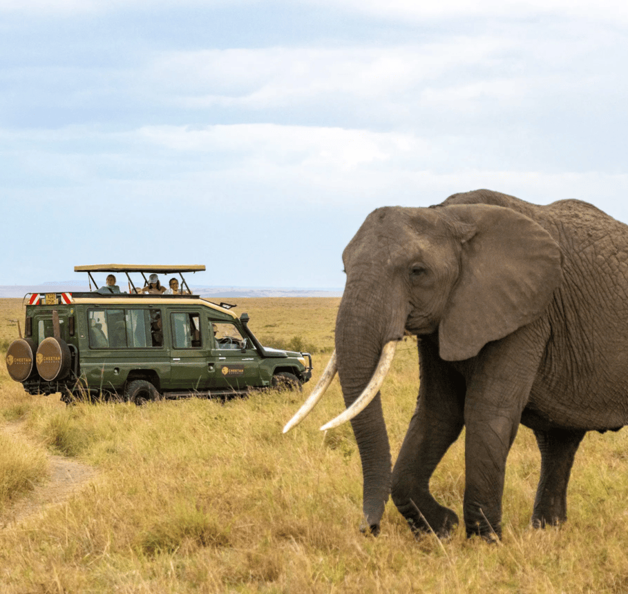 Amboseli National Park, Kenya